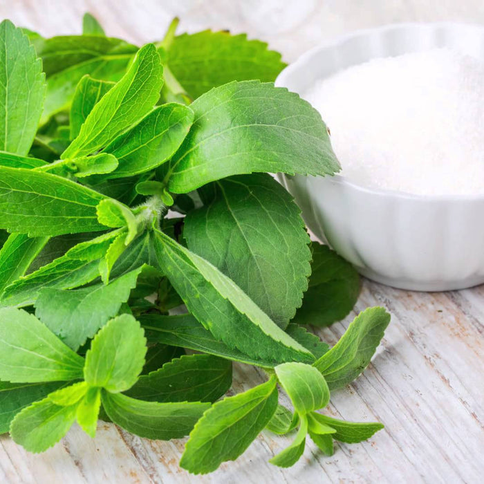 10 beneficios de la Stevia