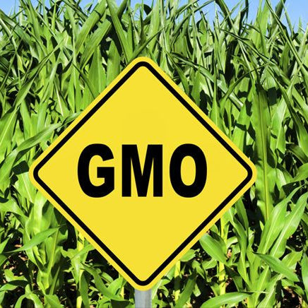 6 Maneras Simples de Evitar los GMOs