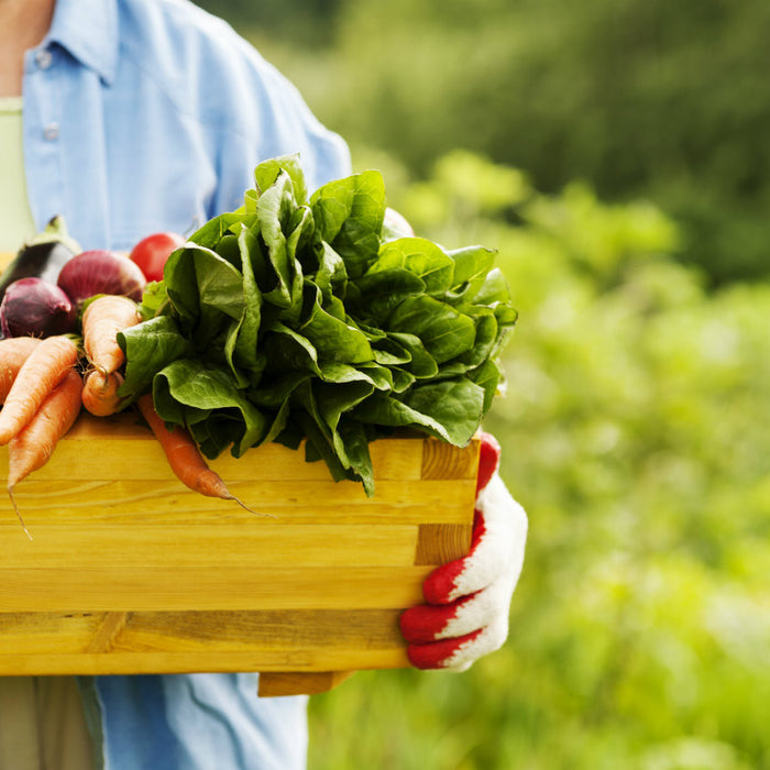 10 razones para consumir orgánico