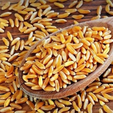 Estudio sobre los beneficios del consumo del trigo Khorasan KAMUT®