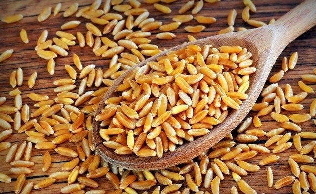 Estudio sobre los beneficios del consumo del trigo Khorasan KAMUT®