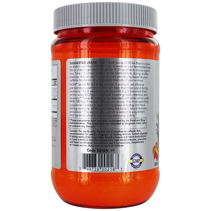 Now Foods - Aminoacidos de Cadena Ramificada Sabor Frutas 600g