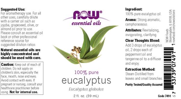 Now Foods - Aceite Esencial de Eucalipto 59ml